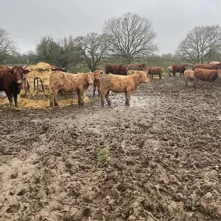 La Ferme Aux Vaches Ferienhaus *